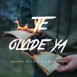 Te Olvide Ya (feat. Mady Lein & El Relampago)