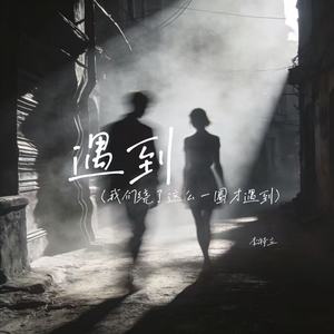 遇到（我们绕了这么一圈才遇到）-李特立