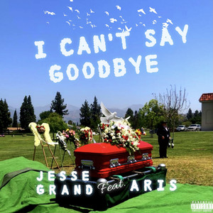 I Can't Say Goodbye (Explicit)