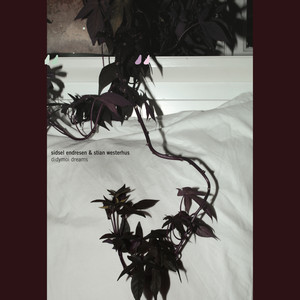 The Rustle of a Long Black Skirt