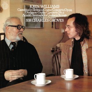 Guitar Concerto No. 1 in D Major, Op. 99 - I. Allegretto (泰代斯科：D大调吉他协奏曲，作品99 - 第一乐章 快板)