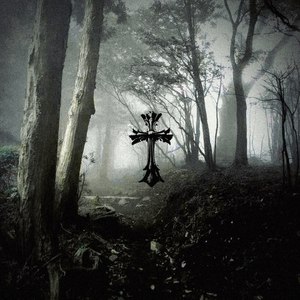 FORGOTTEN DREAM (Slowed)