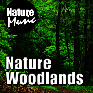 Nature Woodlands (Nature Sound with Music)