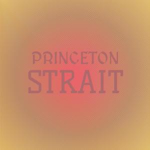 Princeton Strait