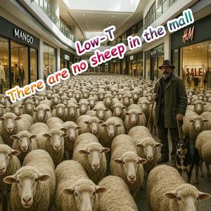 There are no sheep in the mall