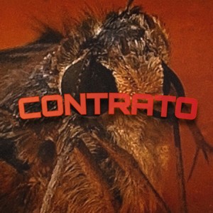 Contrato (Explicit)