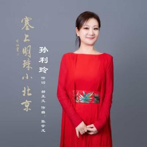 塞上明珠小北京