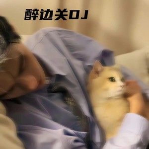 醉边关 (DJ版伴奏)