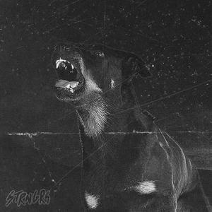 I DON'T HAVE A DOG IN THIS FIGHT (feat. cat fight, paradiis & Volin)