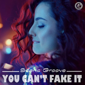 You Can't Fake It (Extended Mix)