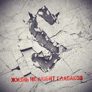 Kazhdoy tvari po pare