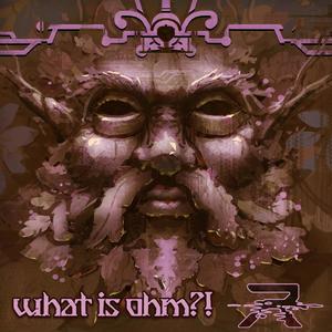 What is OHM?! (Explicit)