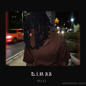 D.I.M 88 (Explicit)