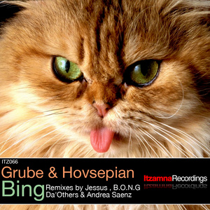 Bing (B.O.N.G. Remix)