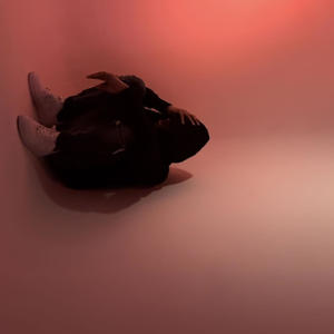 My Sane Freestyle (Explicit)