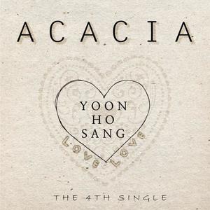 아카시아 (Acacia)