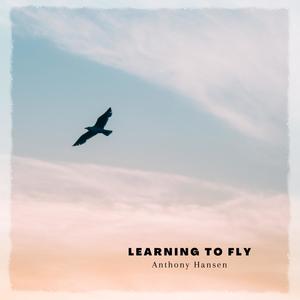 Learning To Fly