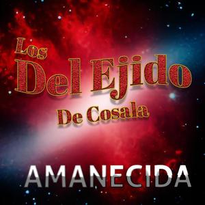 Amanecida