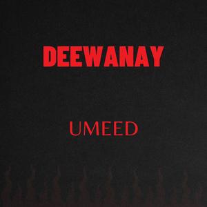 Deewanay