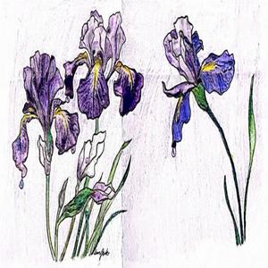 The River Is My Home (feat. ruthie)