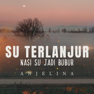 Su Terlanjur, Nasi Su Jadi Bubur