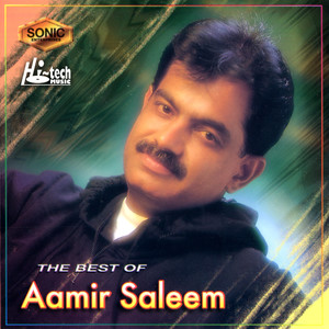 The Best of Aamir Saleem