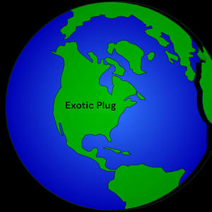 Exotic Plug (Explicit)