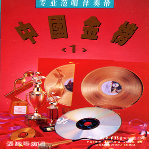 长大后我就成了你 (伴奏)