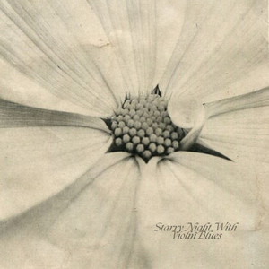 A New Romantic Language On The Violin