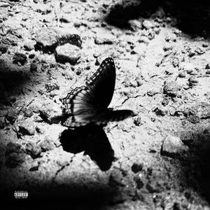 better or worse (Explicit)