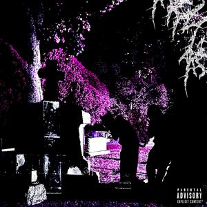 HiTekXD (feat. Kash & Benzo) (Explicit)