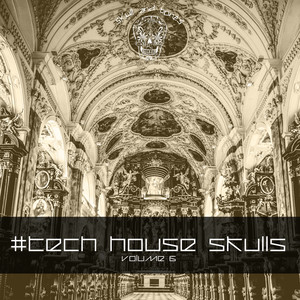 Tech House Skulls, Vol. 6