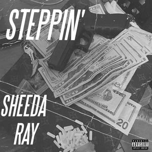 STEPPIN (Explicit)