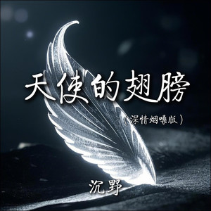 天使的翅膀 (深情烟嗓版)