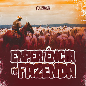 Experiência na Fazenda