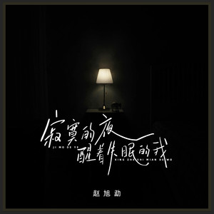 寂寞的夜醒着失眠的我 (DJ浩然版伴奏)