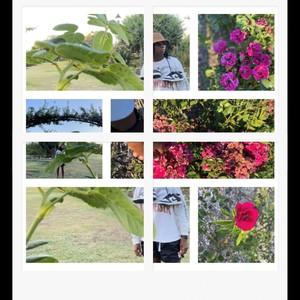 Rose (Explicit)