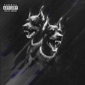 CANI RANDAGI (Explicit)