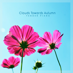 가을로 향하는 구름 (Clouds Towards Autumn)