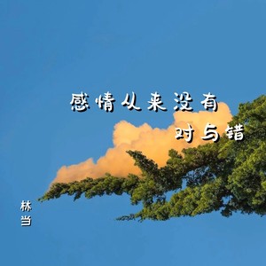 感情从来没有对与错
