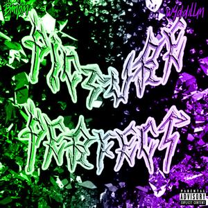 PICTURE PERFECT! (feat. Bimpin) (Explicit)