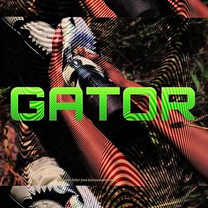 GATOR (Explicit)