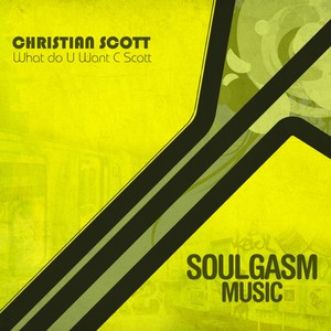 What Do U Want C Scott (Stripped Mix)