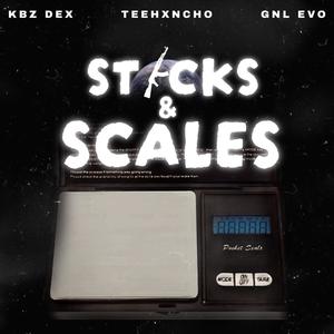 Sticks & Scales (feat. TeeHxncho & GNL Evo) (Explicit)
