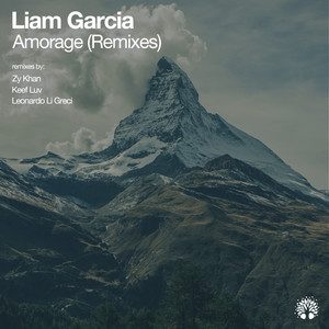 Amorage (Leonardo Li Greci Remix)