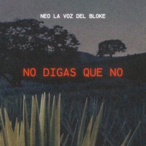 No Digas Que No
