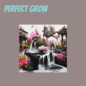 Perfect Grow