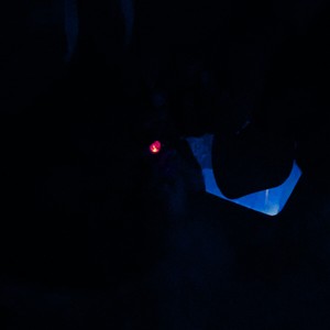 HIERBA (Explicit)
