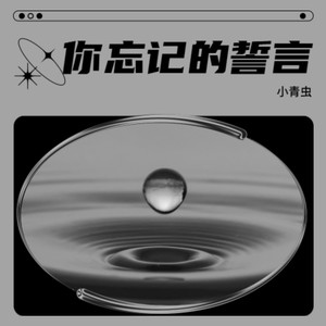 你忘记的誓言