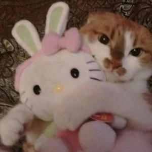 doinenuff (Explicit)